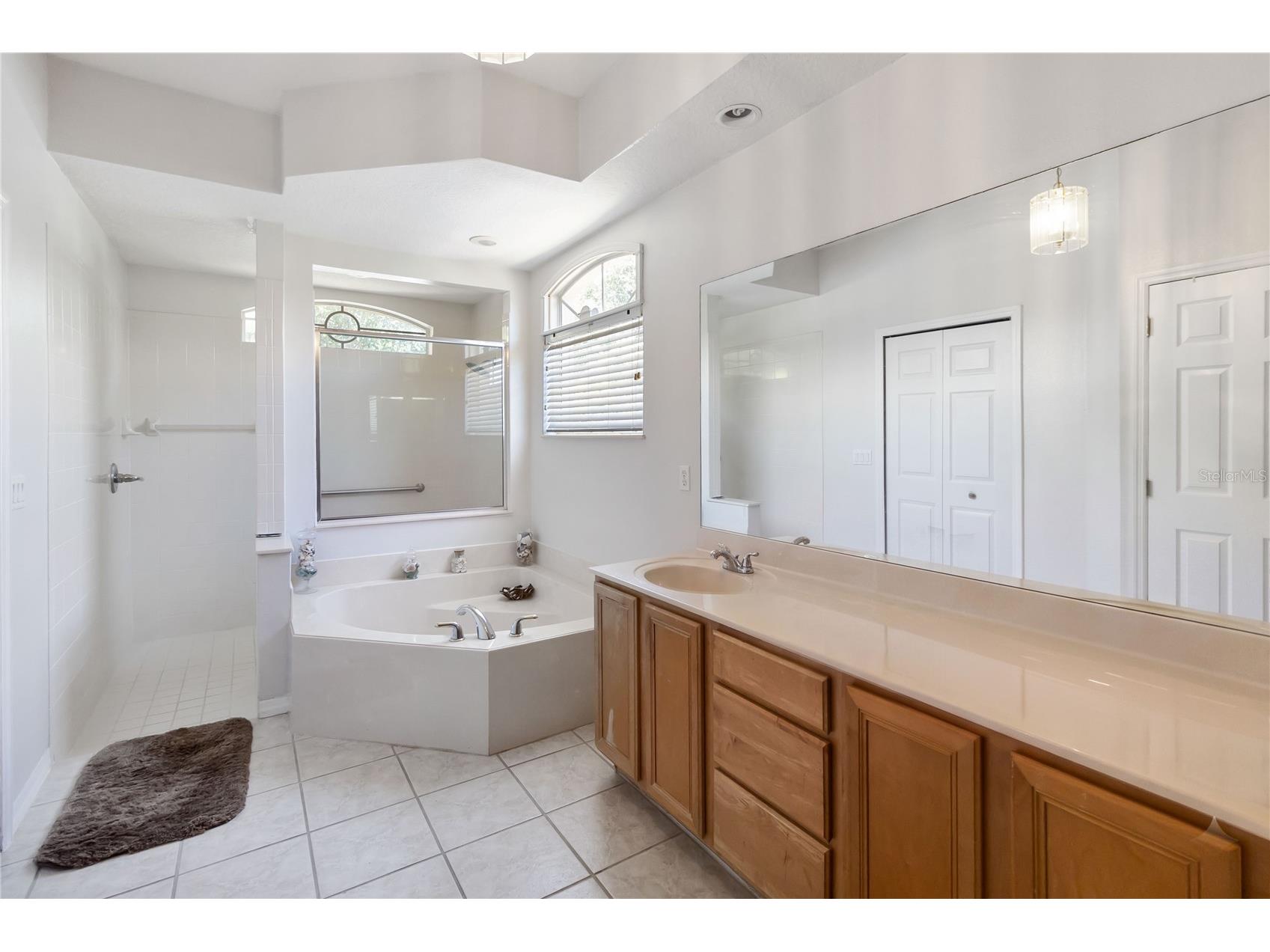 4047 Lillian Hall Lane Orlando FL 32812 O6406239 image24