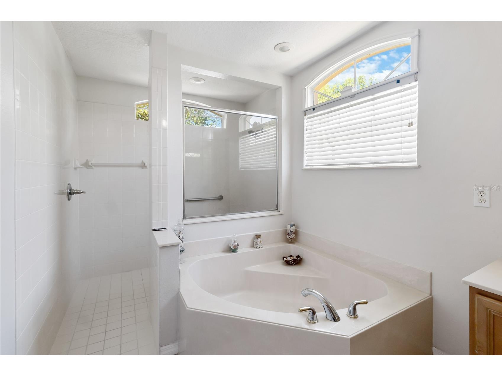 4047 Lillian Hall Lane Orlando FL 32812 O6406239 image26