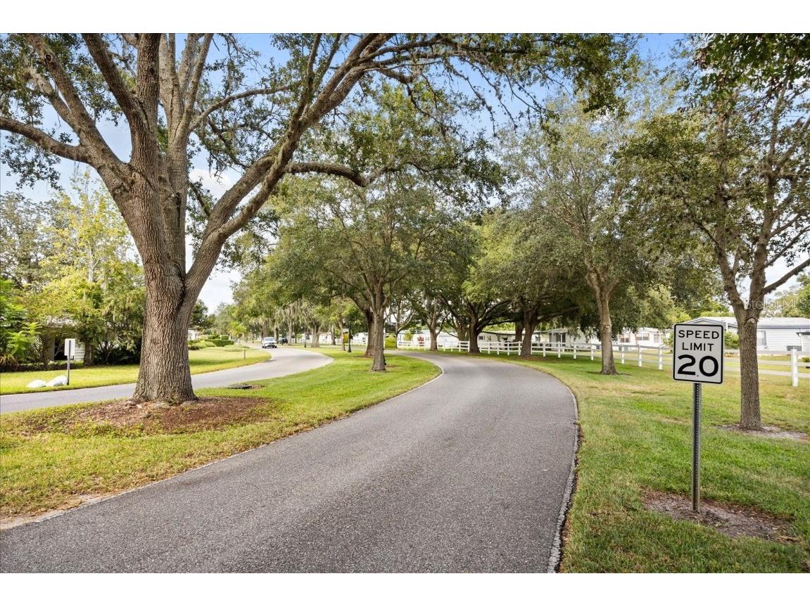 4047 N Citrus Circle #199 Zellwood FL 32798 O6346240 image33