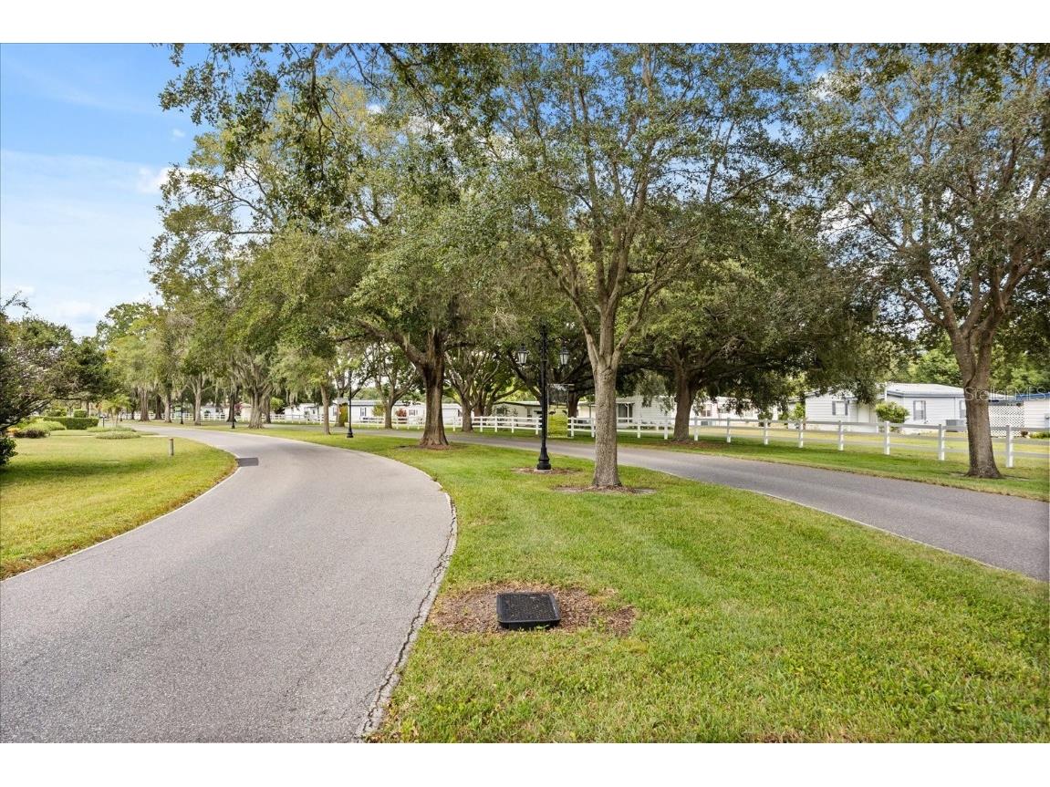 4047 N Citrus Circle #199 Zellwood FL 32798 O6346240 image34