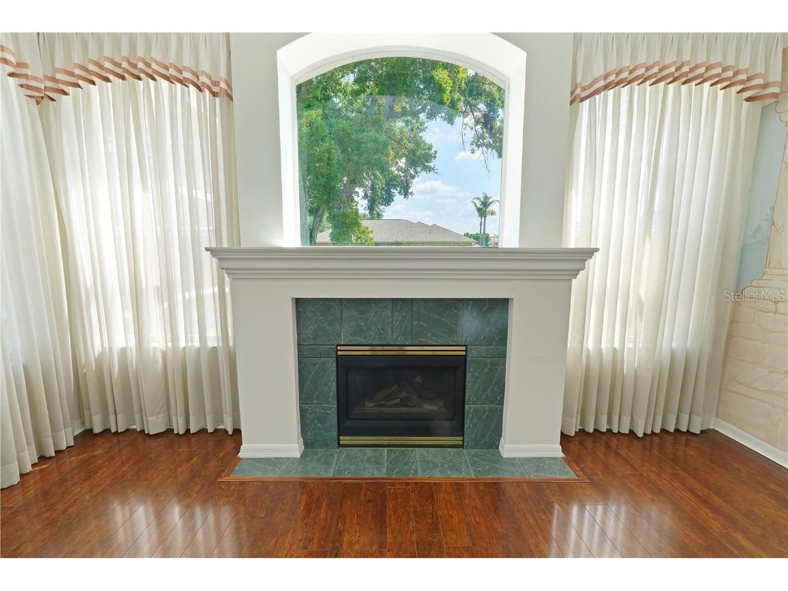 4048 St Ives Boulevard Spring Hill FL 34609 W7875554 image11