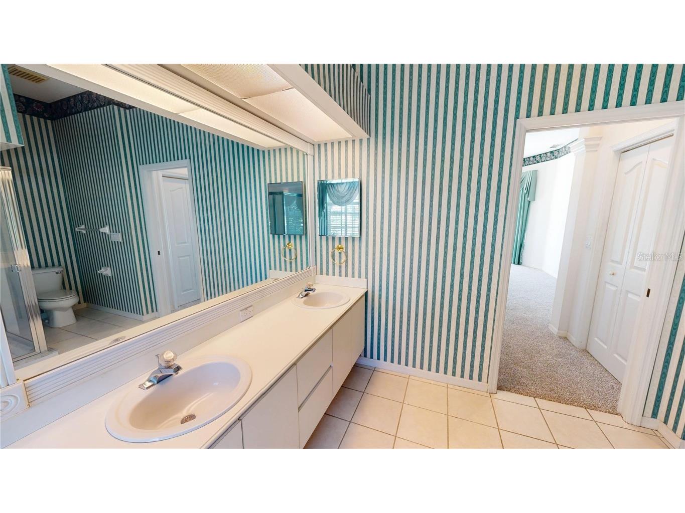 4048 St Ives Boulevard Spring Hill FL 34609 W7875554 image31