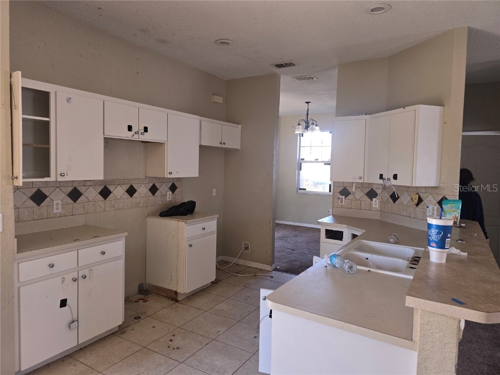 4049 Byrds Crossing Drive Lakeland FL 33812 TB8413819 image8