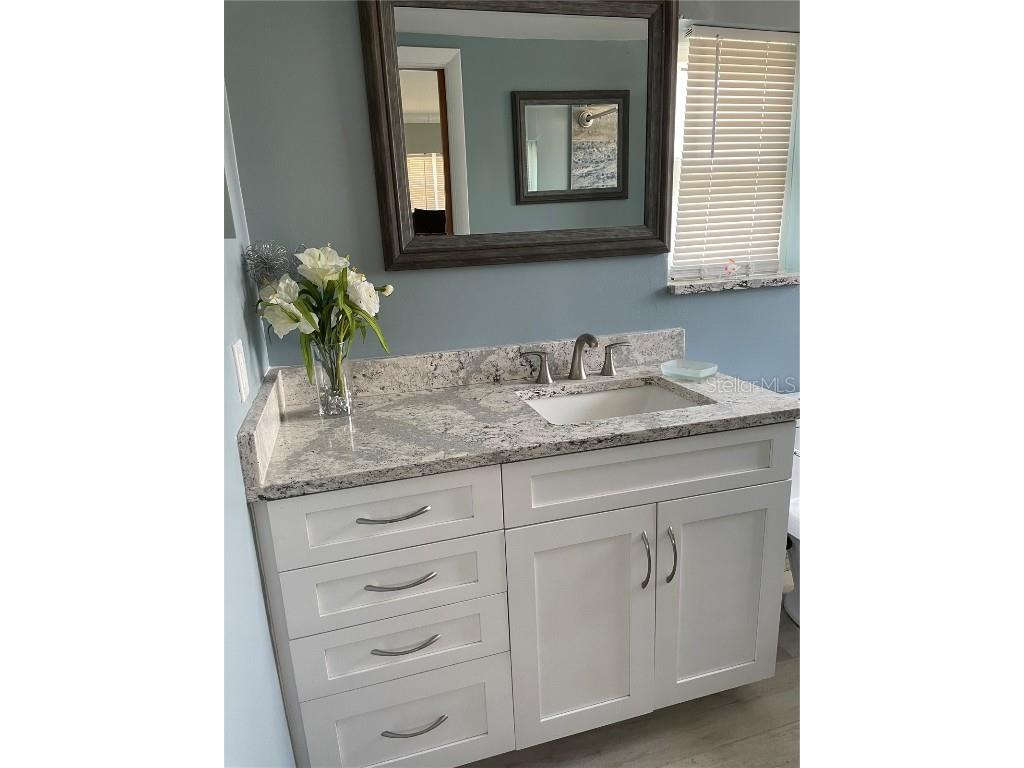 405 4th Avenue N Tierra Verde FL 33715 TB8417546 image15