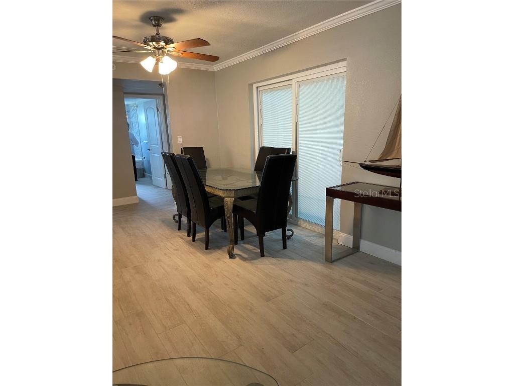 405 4th Avenue N Tierra Verde FL 33715 TB8417546 image5