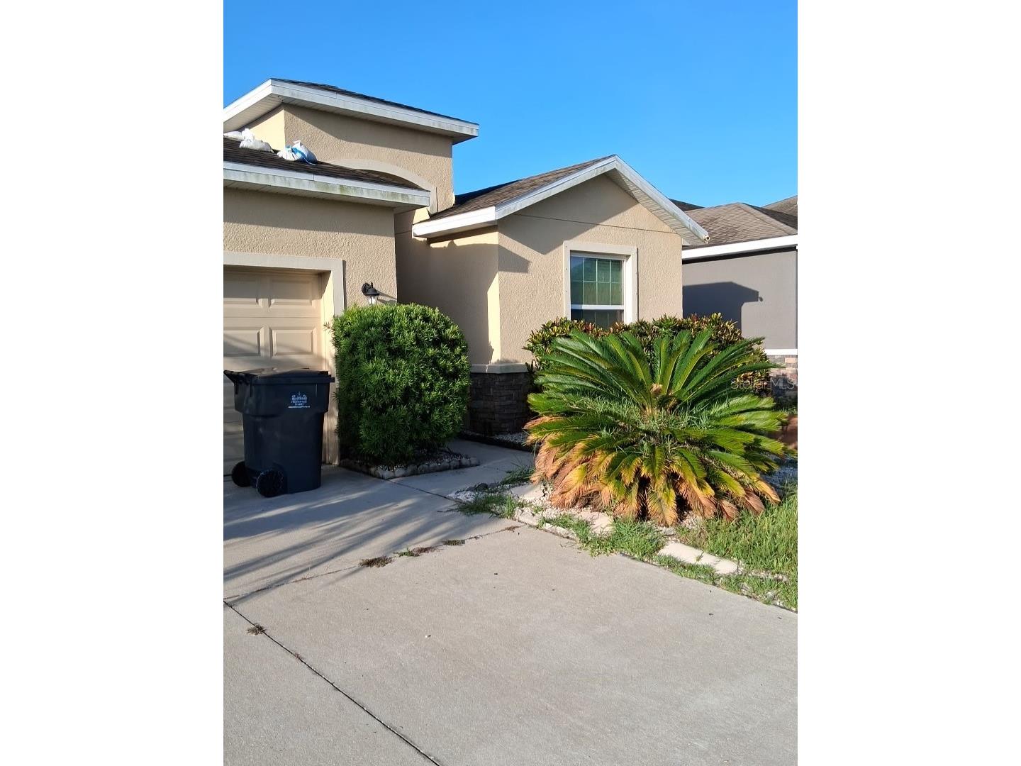 405 Blakely Court Ruskin FL 33570 A4694676 image9