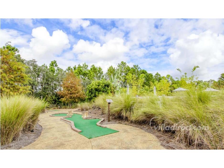 405 Captiva Drive Davenport FL 33896 O6408365 image21