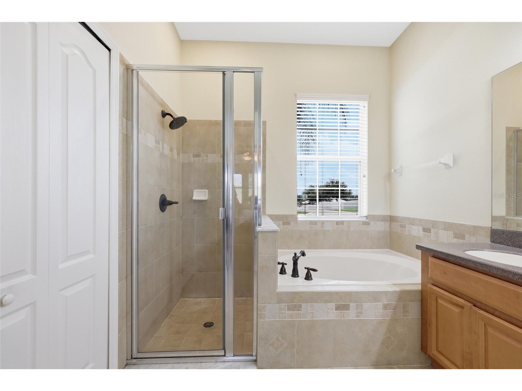 405 Dagama Drive Clermont FL 34715 O6414582 image14