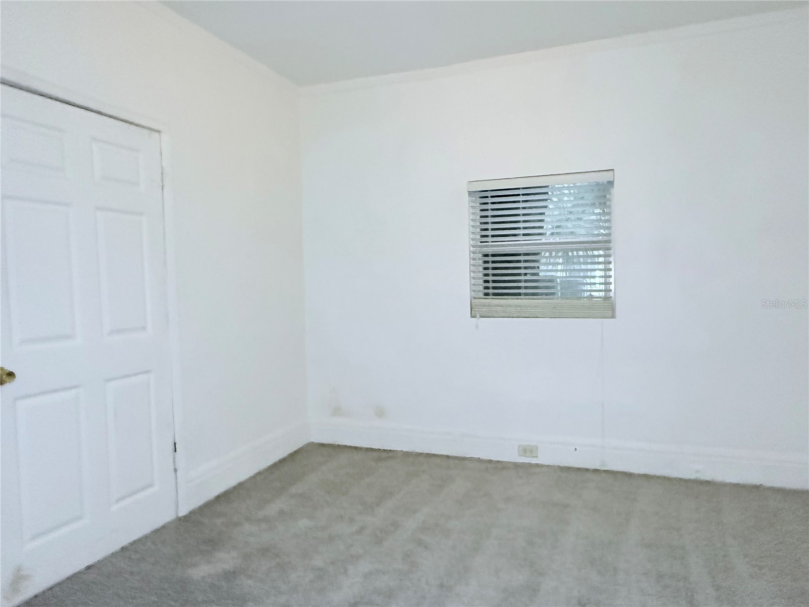 405 E Dr. Martin Luther King Jr. Boulevard Tampa FL 33603 TB8463755 image8