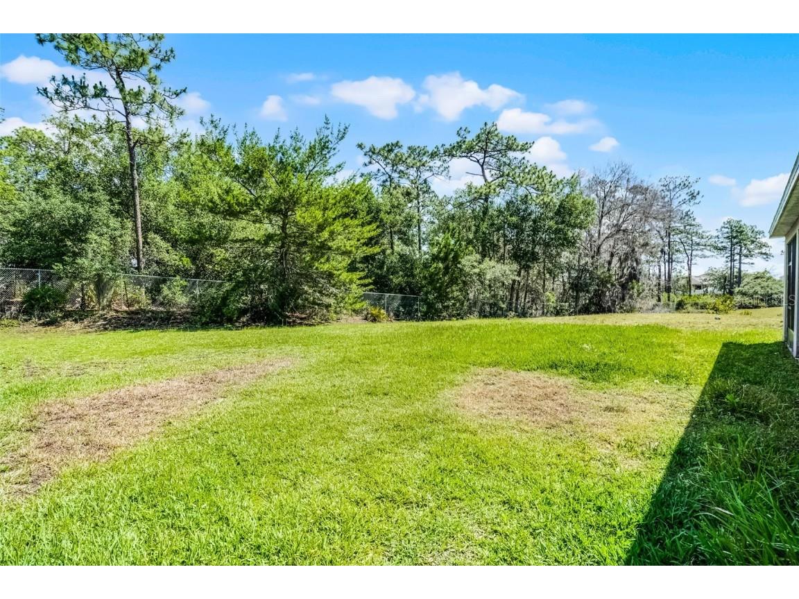 405 E Freesia Court Deland FL 32724 O6307530 image47