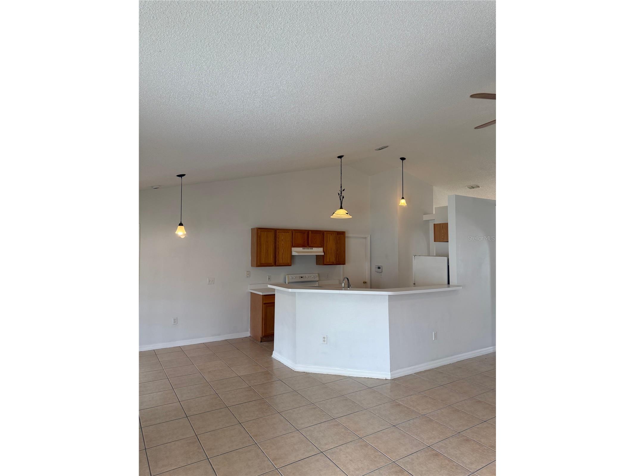 405 Francisco Way Kissimmee FL 34758 S5146495 image15