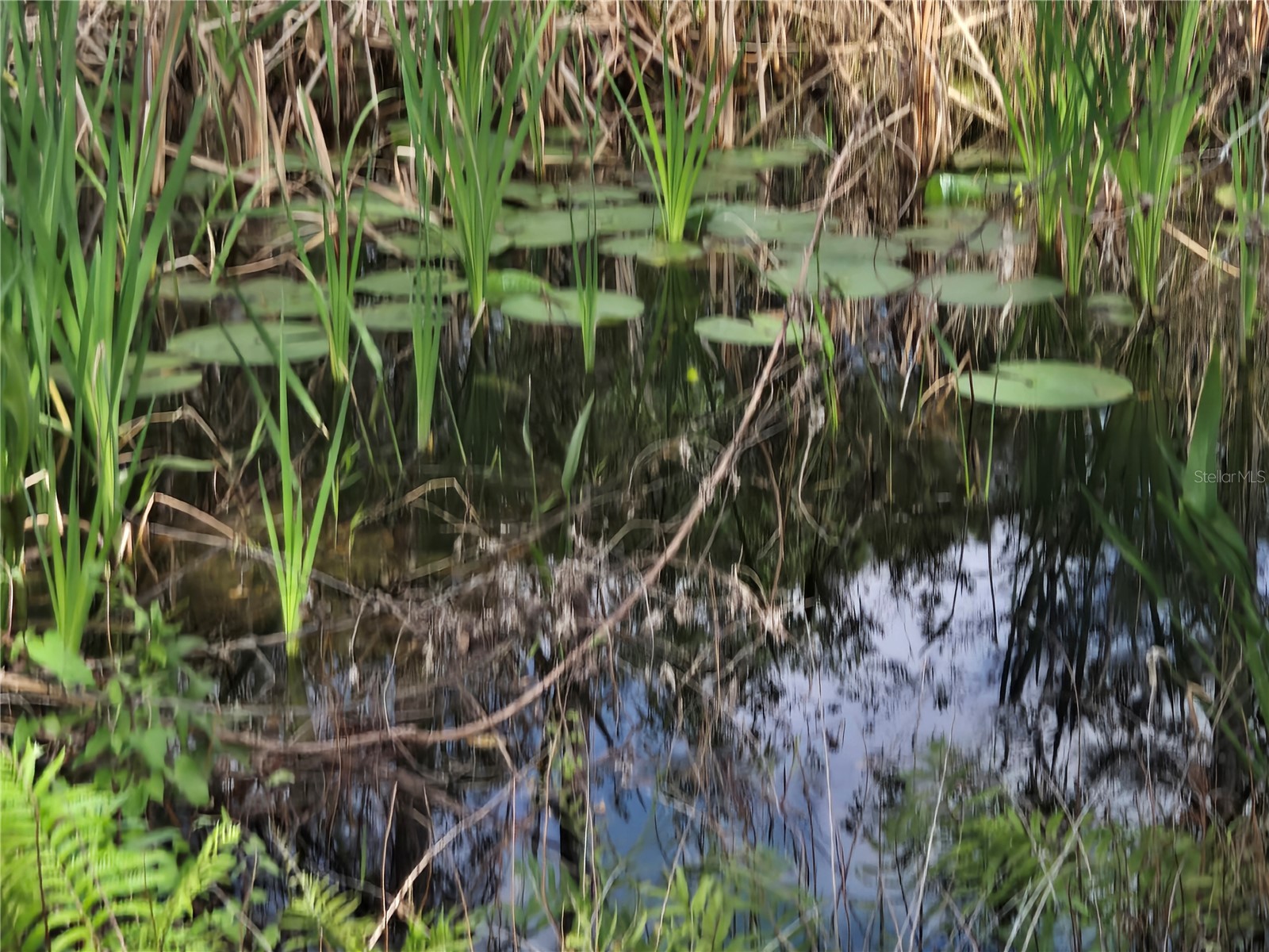 405 Long And Winding Road Howey In The Hills FL 34737 O6245797 image63