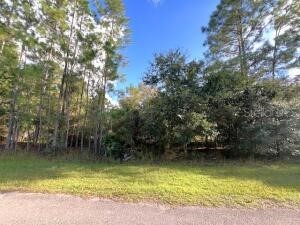 405 Pandora Drive Indian Lake Estates FL 33855 O6385113 image1