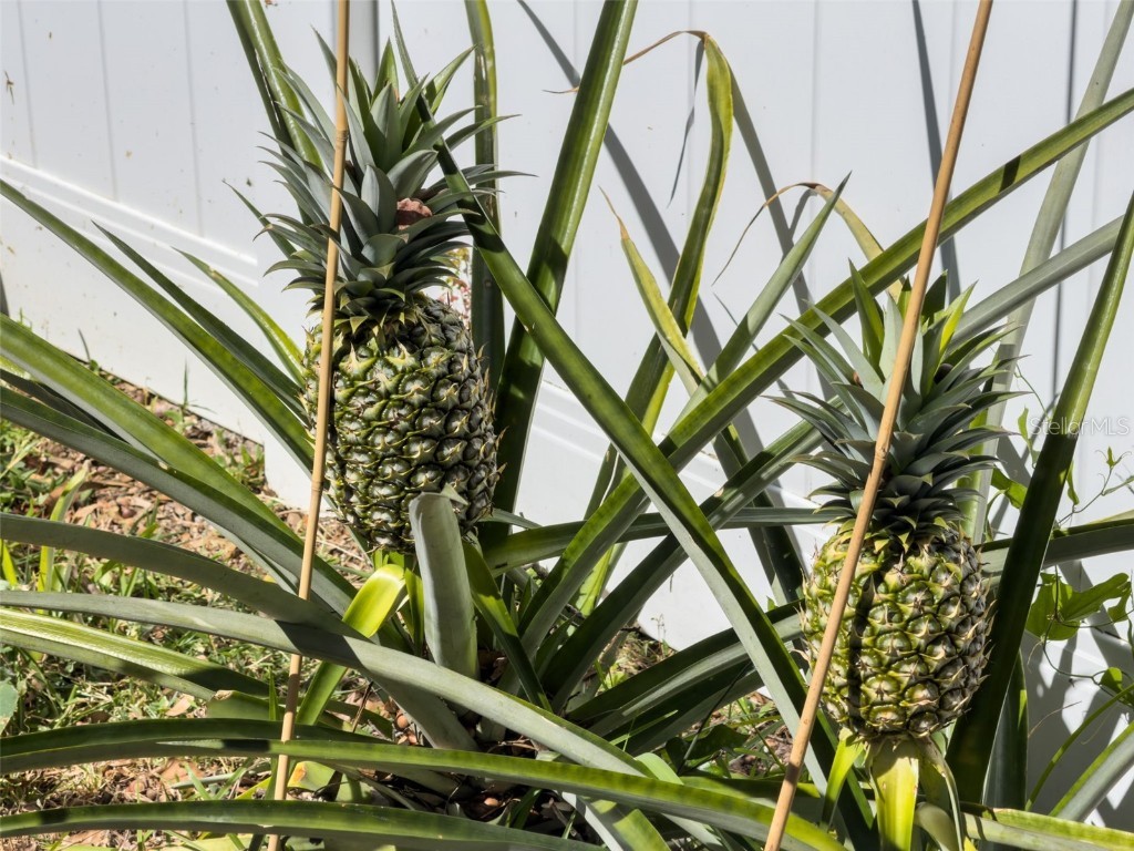 405 Quail Hill Drive Debary FL 32713 O6359312 image39