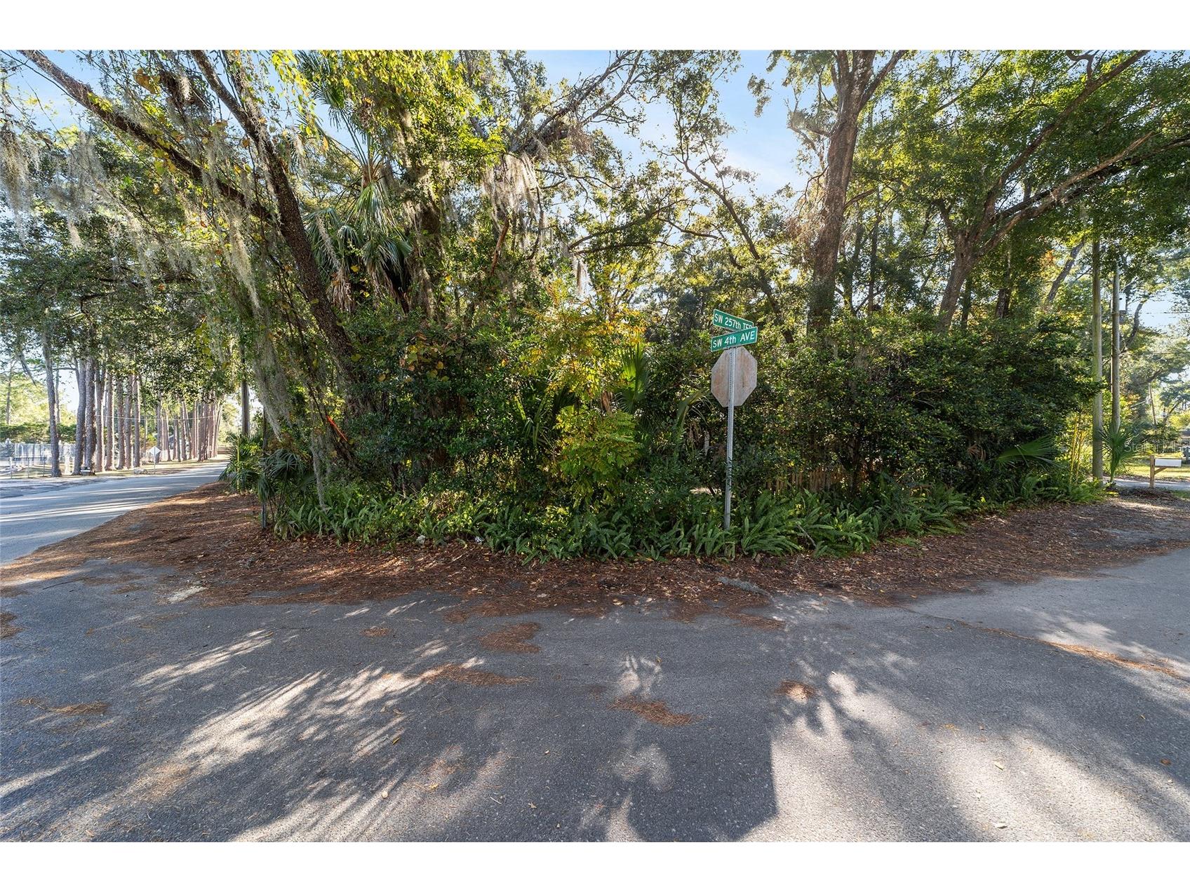 405 SW 257th Terrace Newberry FL 32669 OM713383 image27