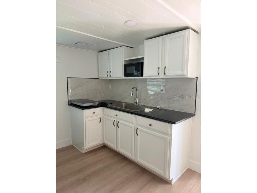 405 Union Drive #LOT 18 Lakeland FL 33805 TB8509175 image36