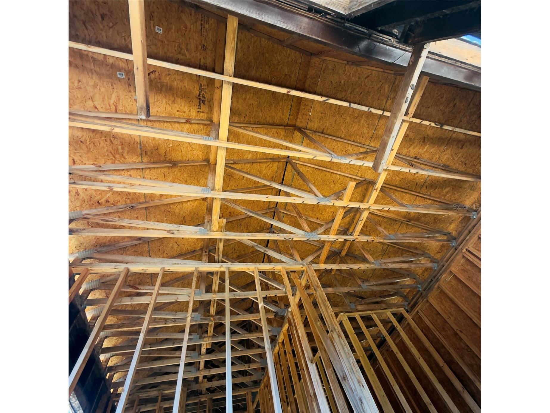 405 W Lake Elbert Drive NE Winter Haven FL 33881 O6374774 image10