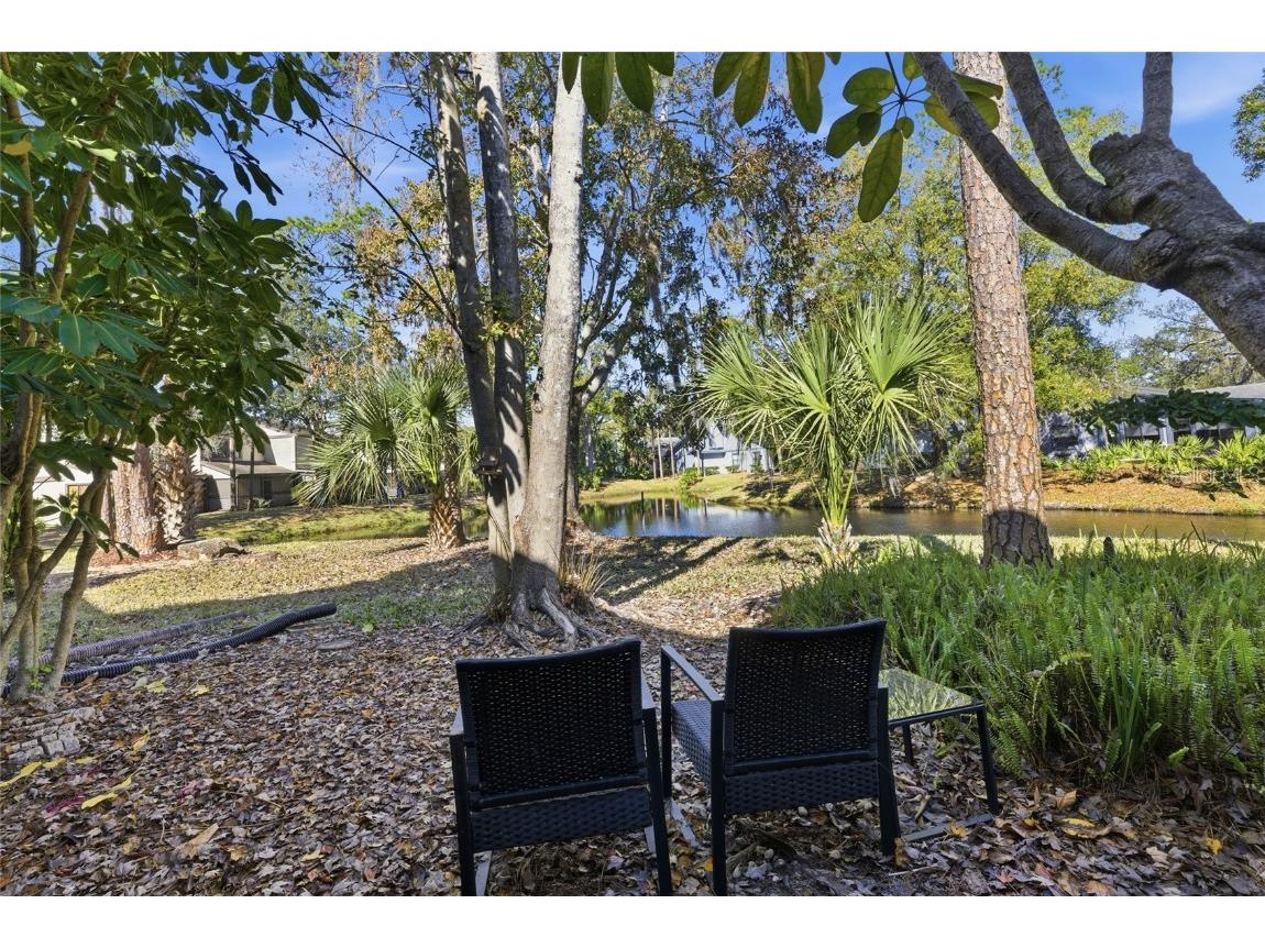 405 Woods Landing Trail Oldsmar FL 34677 A4676677 image25