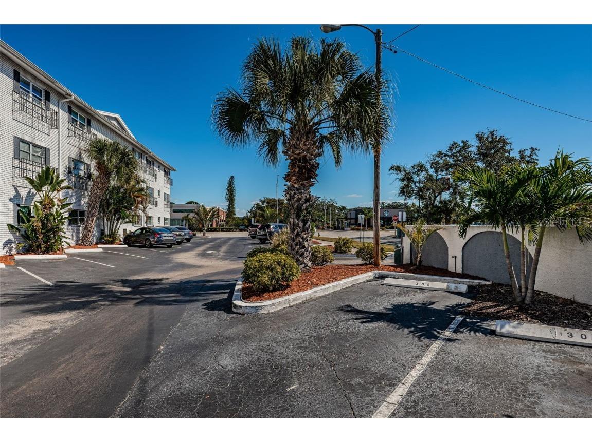 4050 4th Street N #306 Saint Petersburg FL 33703 TB8444313 image32