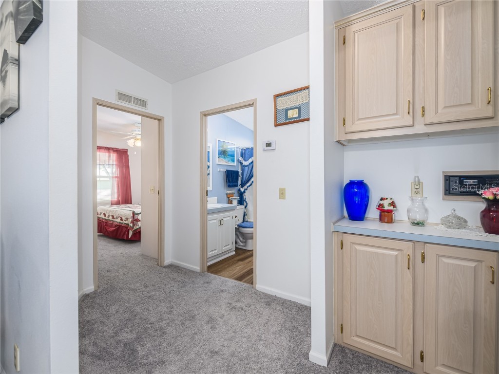 4050 Carefree Way Zephyrhills FL 33541 TB8436053 image15