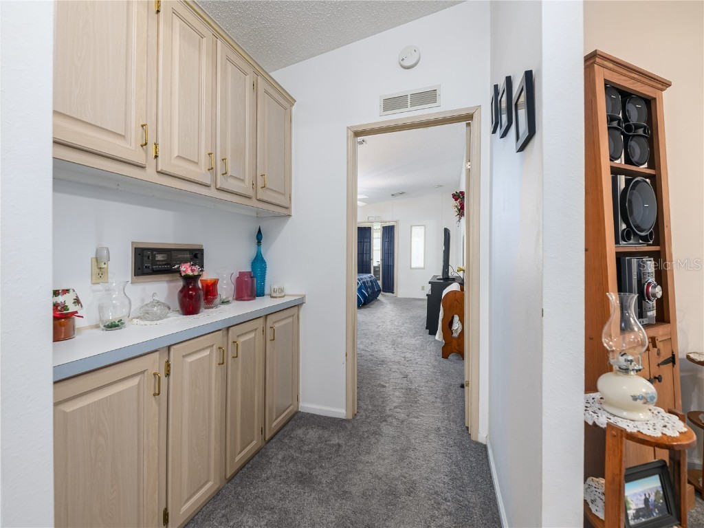 4050 Carefree Way Zephyrhills FL 33541 TB8436053 image19