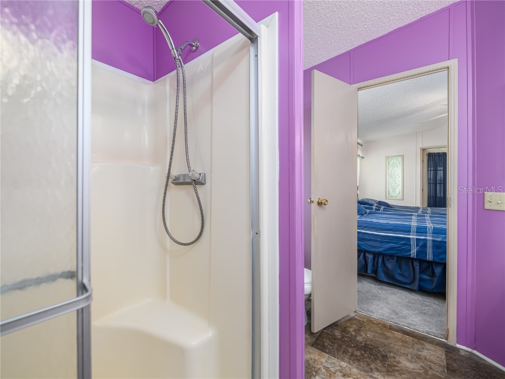 4050 Carefree Way Zephyrhills FL 33541 TB8436053 image22