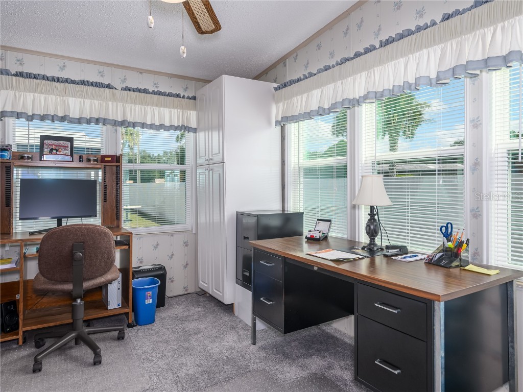 4050 Carefree Way Zephyrhills FL 33541 TB8436053 image24