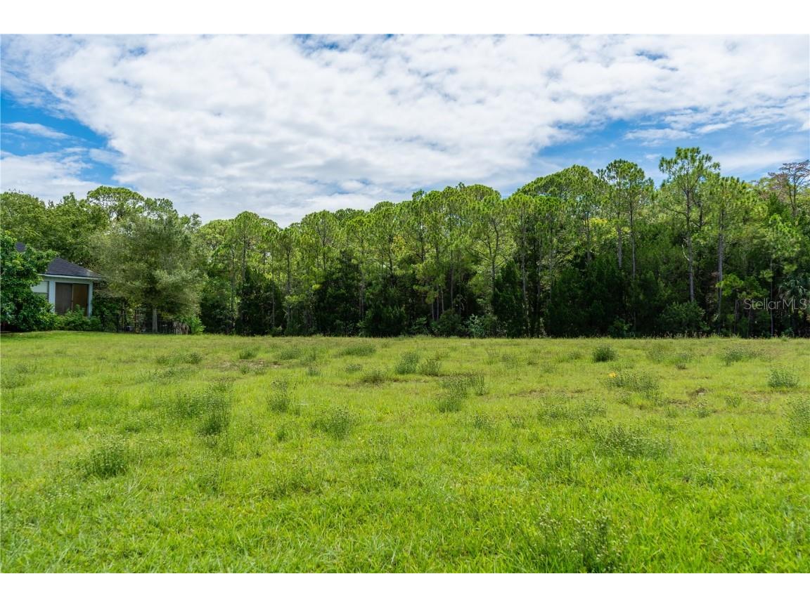 4050 Jewfish Drive Hernando Beach FL 34607 - GULF OF MEXICO TB8416863 image2