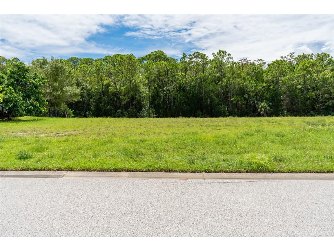 4050 Jewfish Drive Hernando Beach FL 34607 - GULF OF MEXICO TB8416863 image4