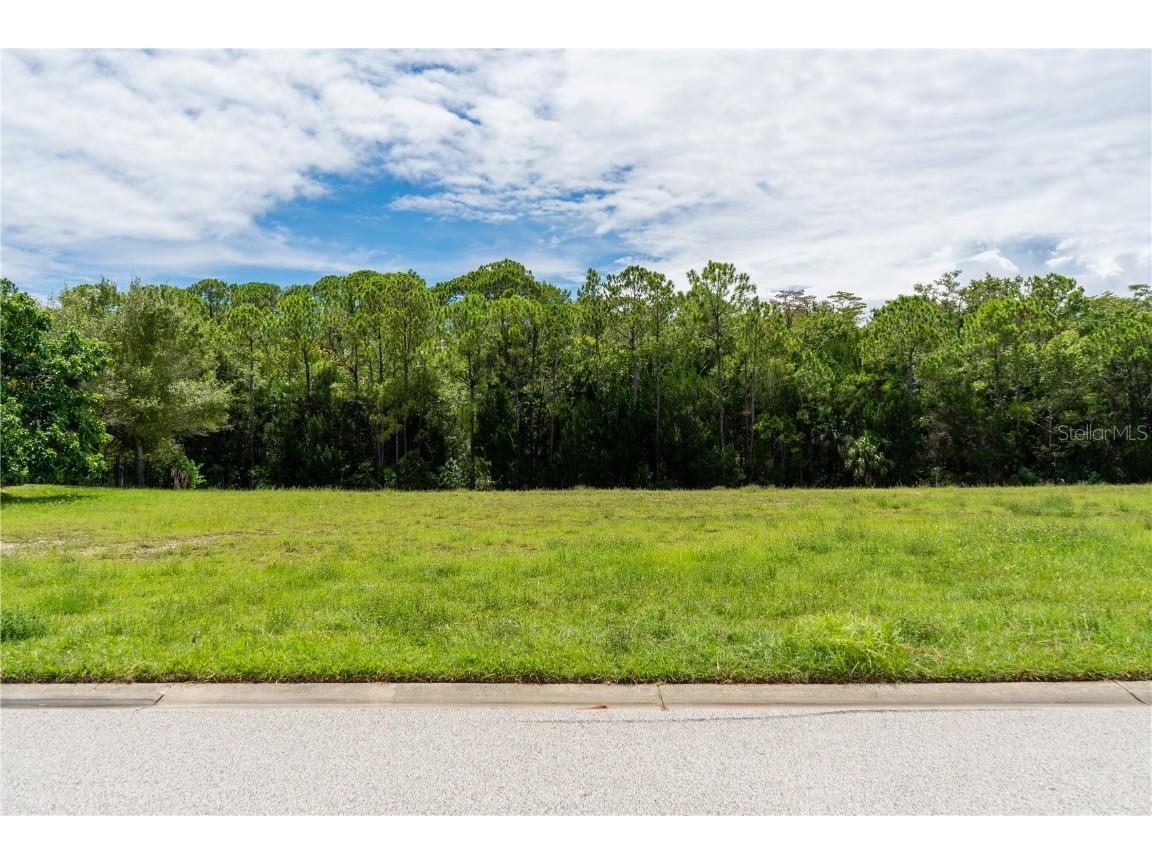 4050 Jewfish Drive Hernando Beach FL 34607 - GULF OF MEXICO TB8416863 image5