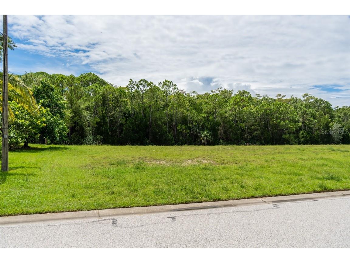 4050 Jewfish Drive Hernando Beach FL 34607 - GULF OF MEXICO TB8416863 image6