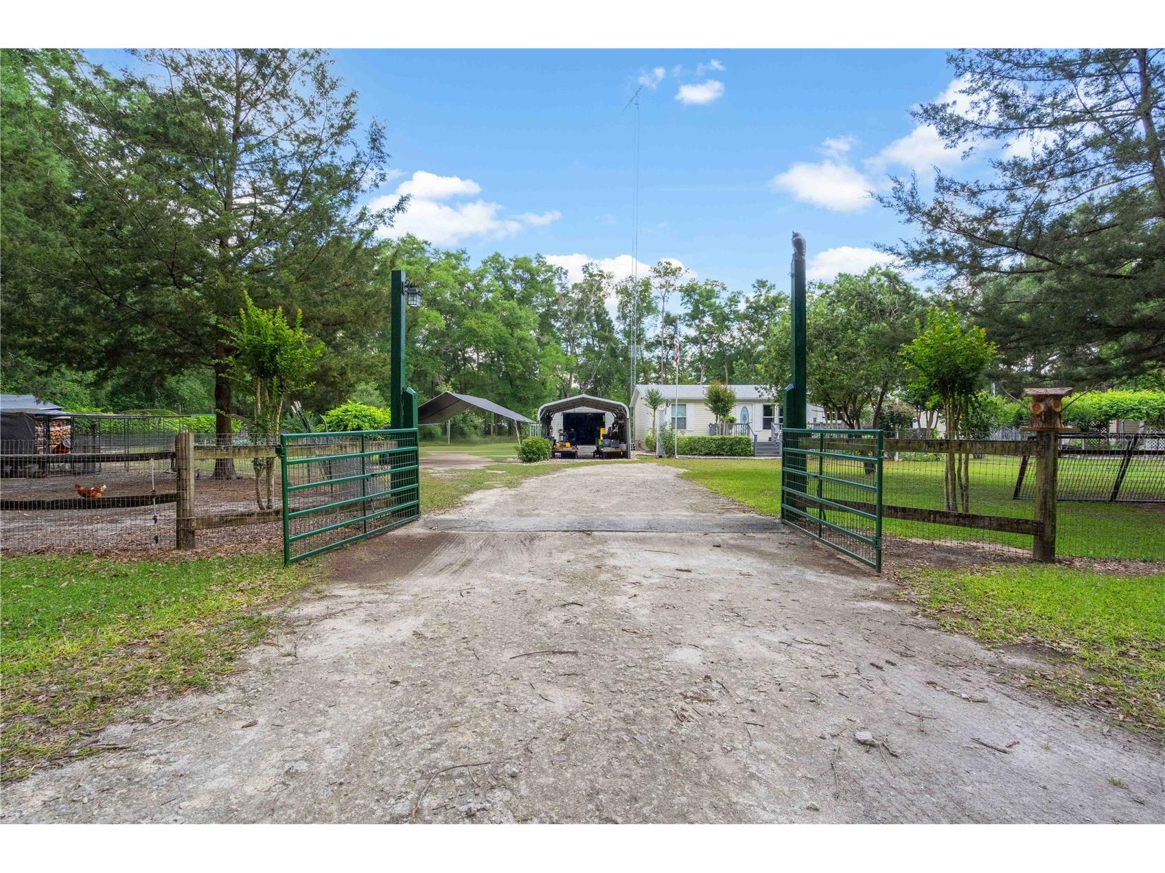 4050 NE 172nd Court Williston FL 32696 OM724630 image2