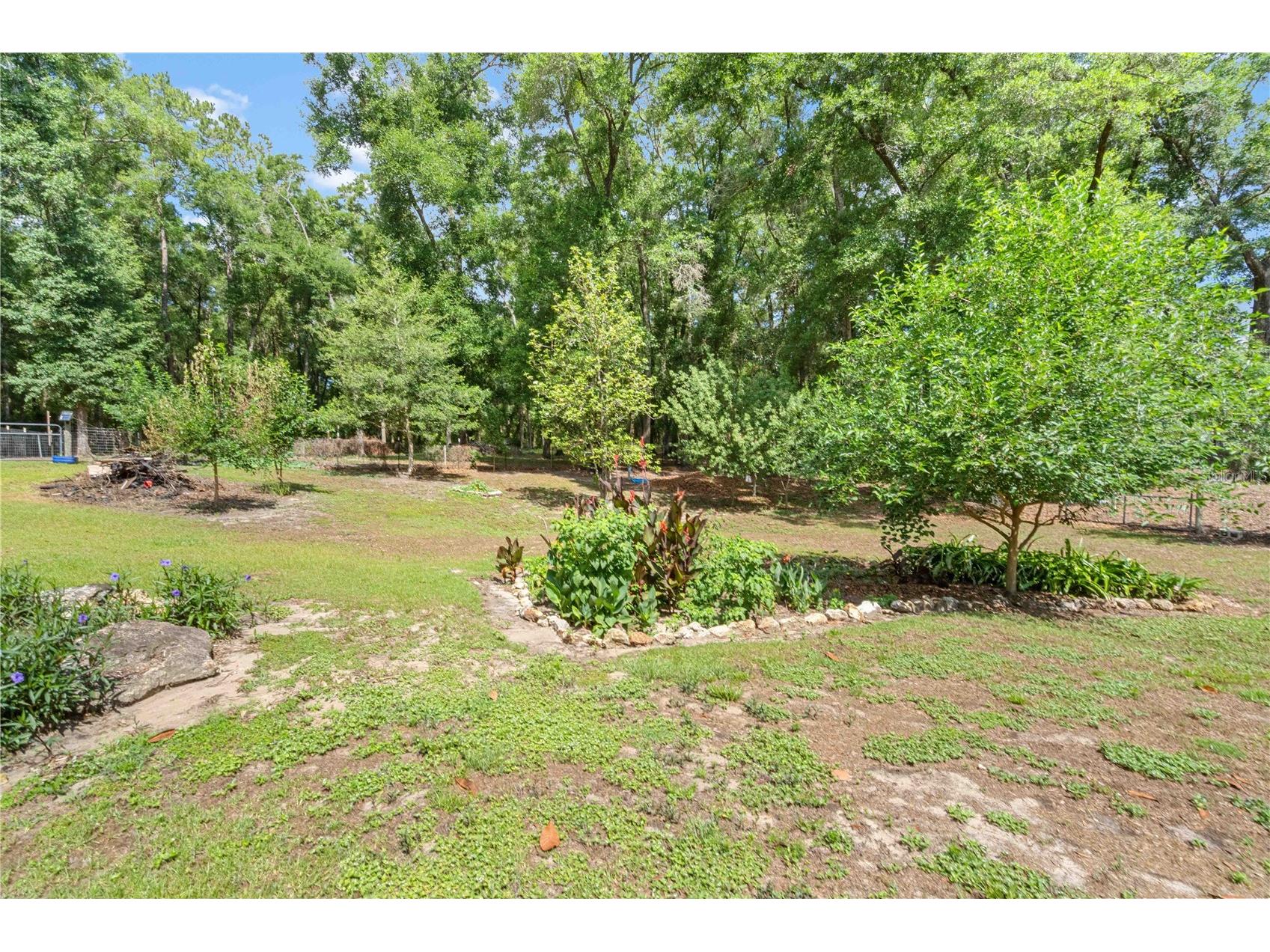 4050 NE 172nd Court Williston FL 32696 OM724630 image33