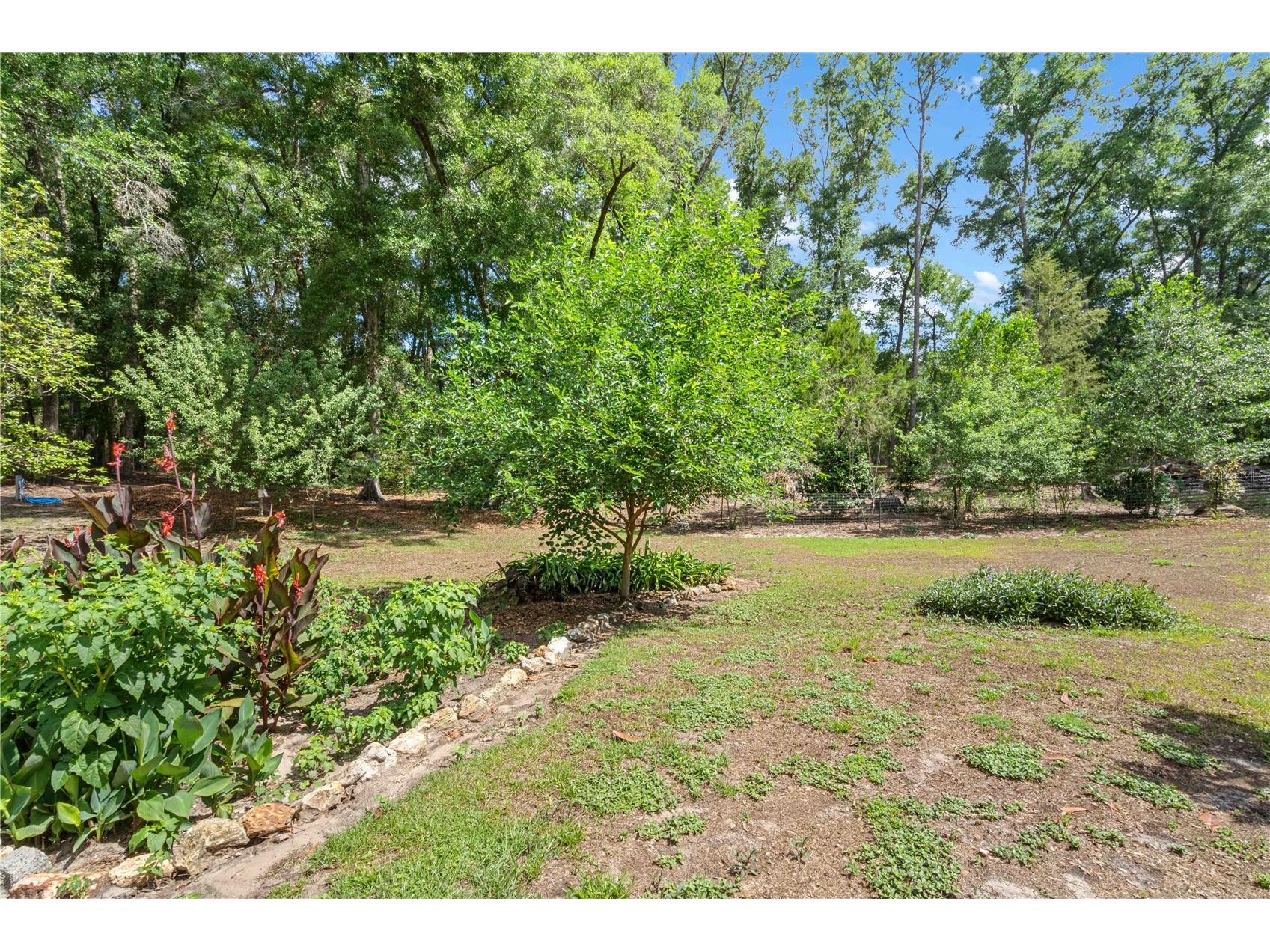 4050 NE 172nd Court Williston FL 32696 OM724630 image34