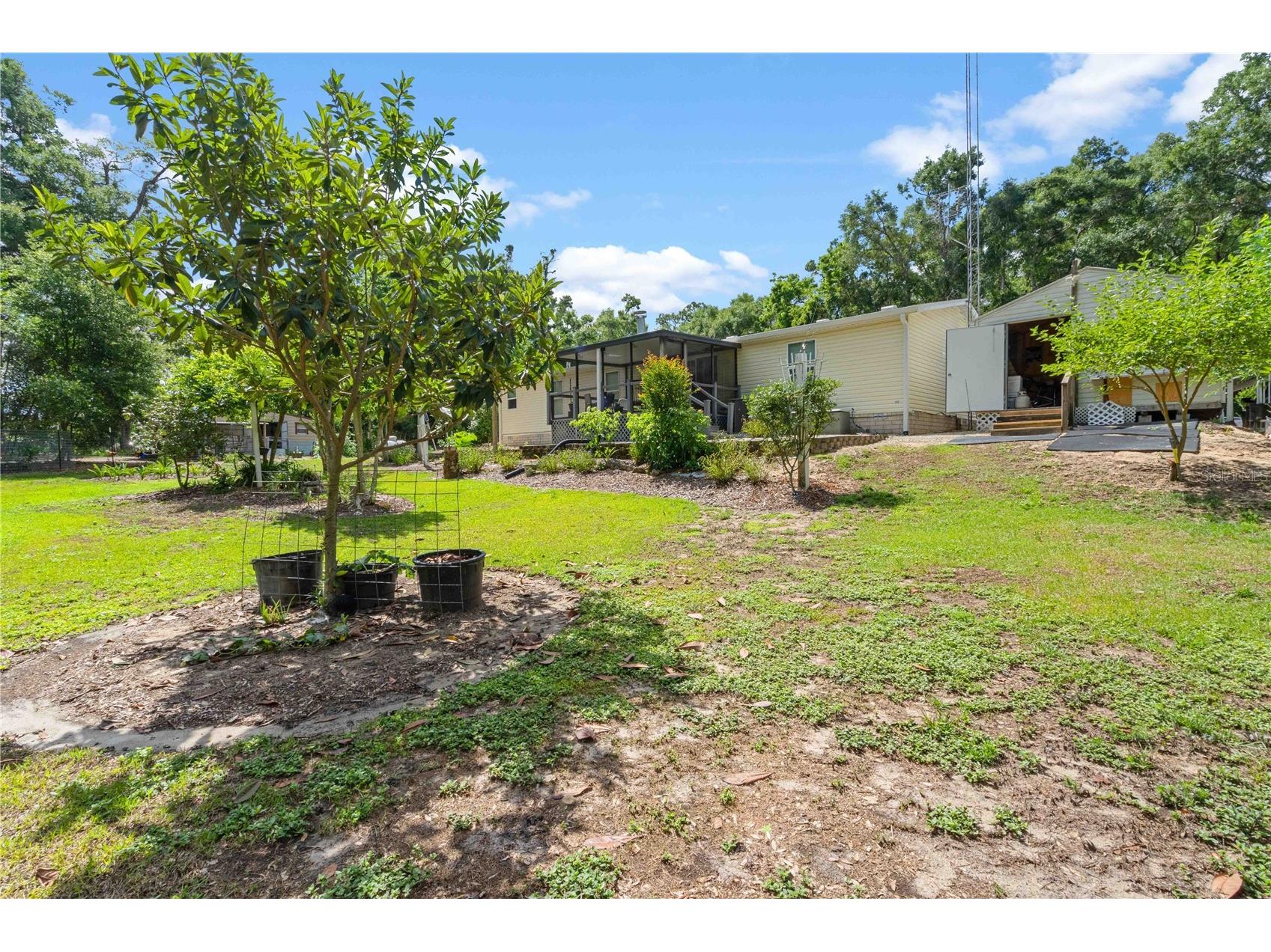 4050 NE 172nd Court Williston FL 32696 OM724630 image35