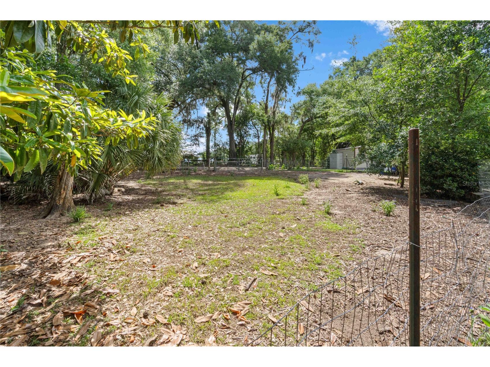 4050 NE 172nd Court Williston FL 32696 OM724630 image40