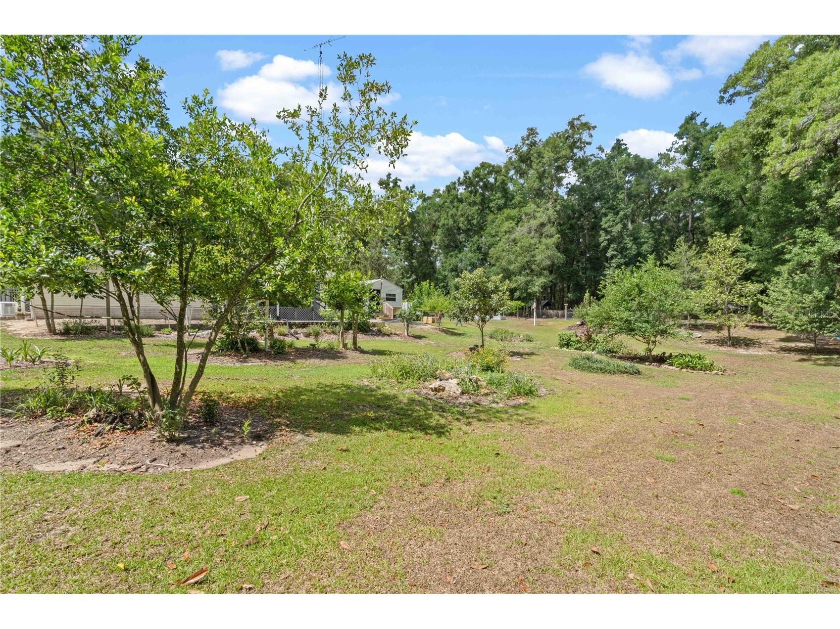 4050 NE 172nd Court Williston FL 32696 OM724630 image41