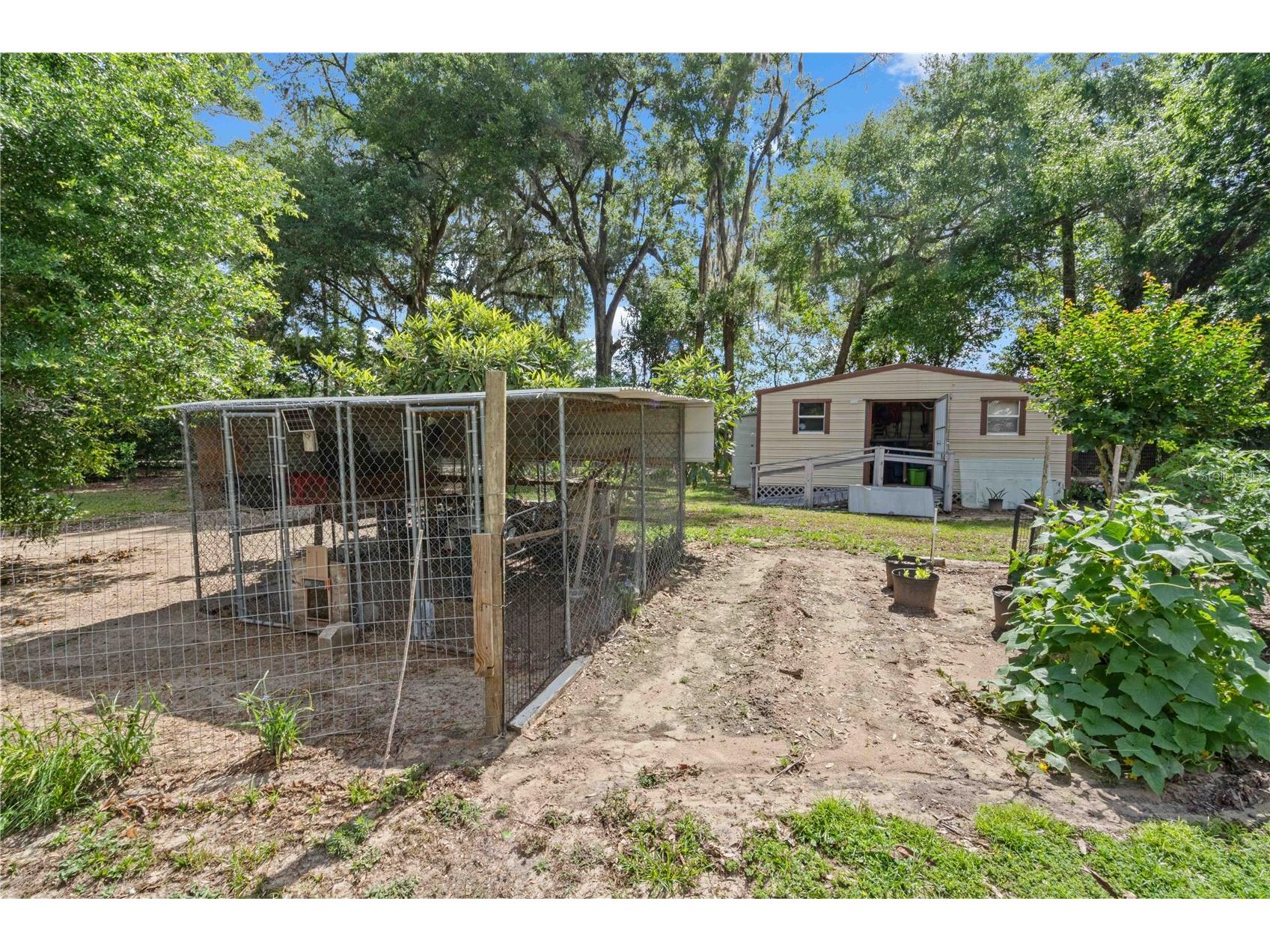 4050 NE 172nd Court Williston FL 32696 OM724630 image42