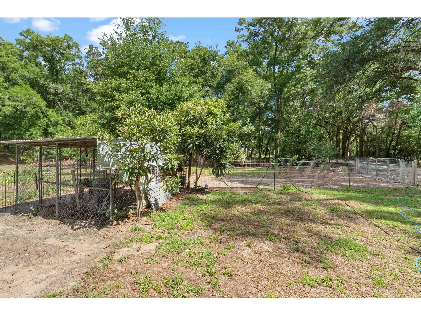 4050 NE 172nd Court Williston FL 32696 OM724630 image44