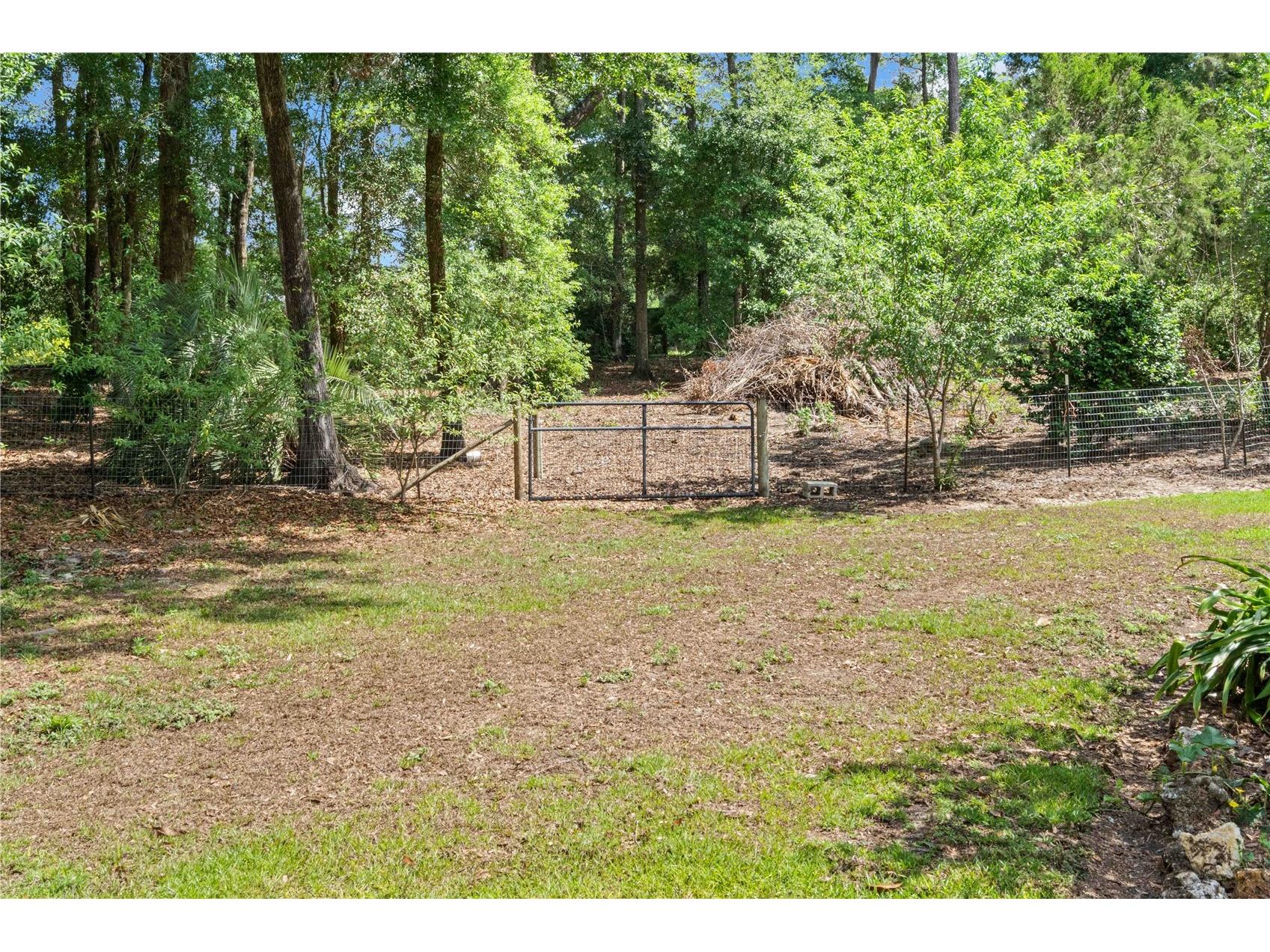 4050 NE 172nd Court Williston FL 32696 OM724630 image46