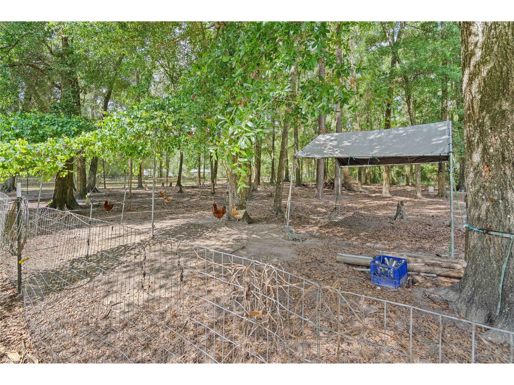 4050 NE 172nd Court Williston FL 32696 OM724630 image47