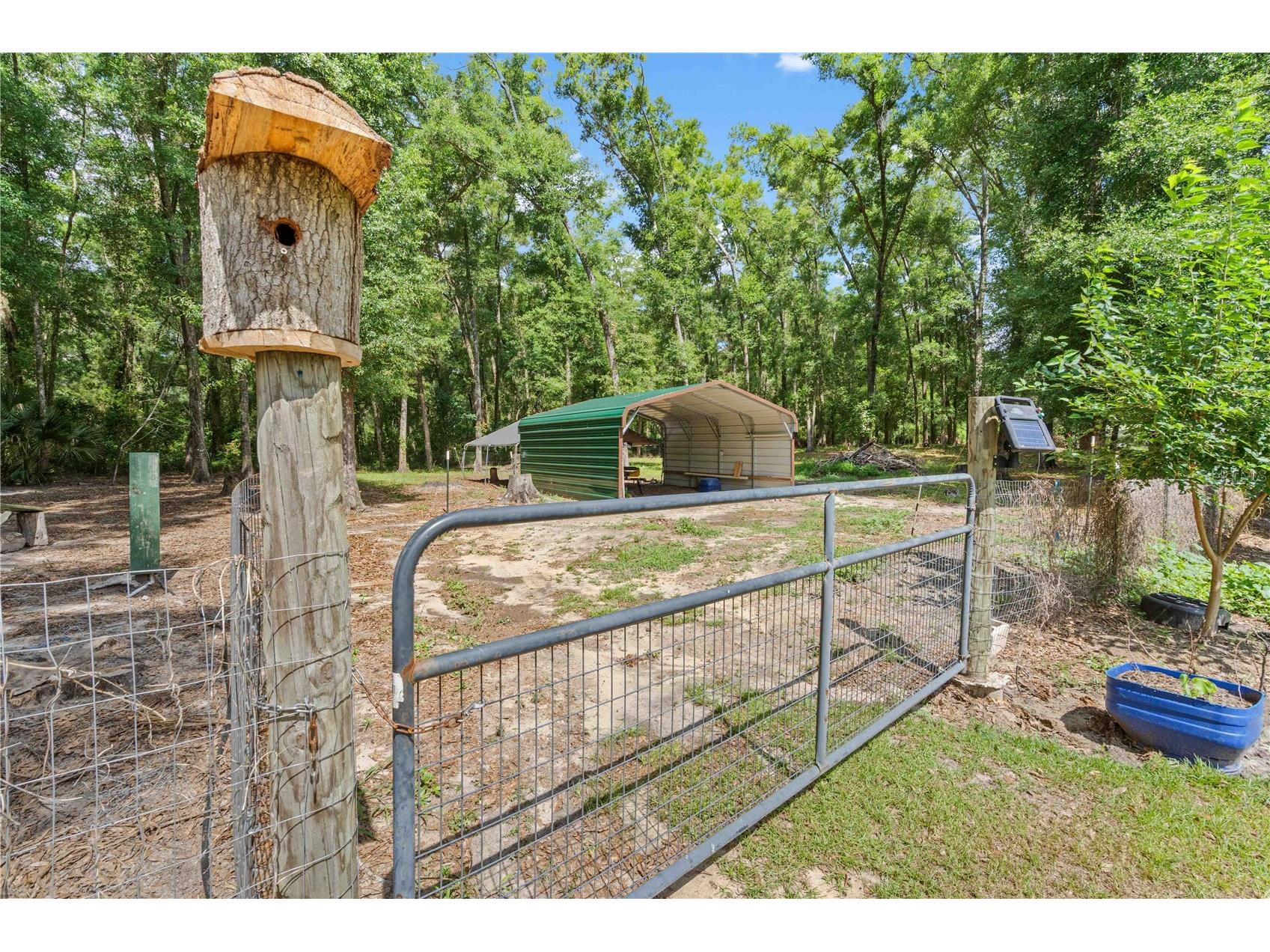4050 NE 172nd Court Williston FL 32696 OM724630 image49