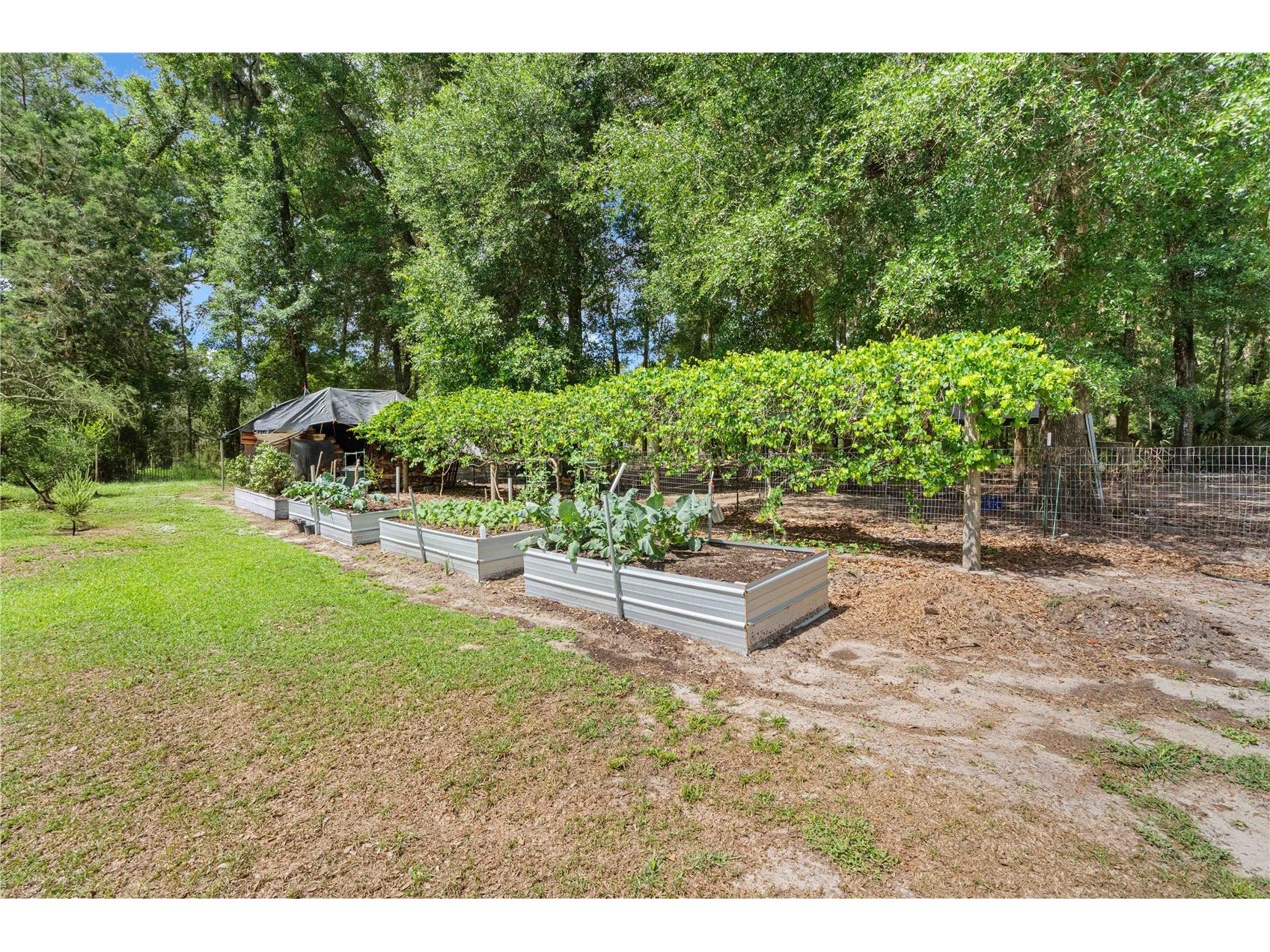 4050 NE 172nd Court Williston FL 32696 OM724630 image51