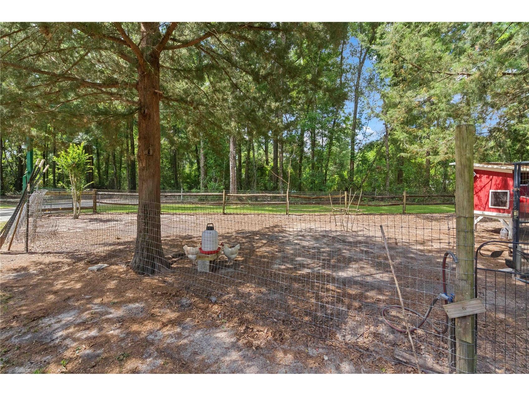 4050 NE 172nd Court Williston FL 32696 OM724630 image52