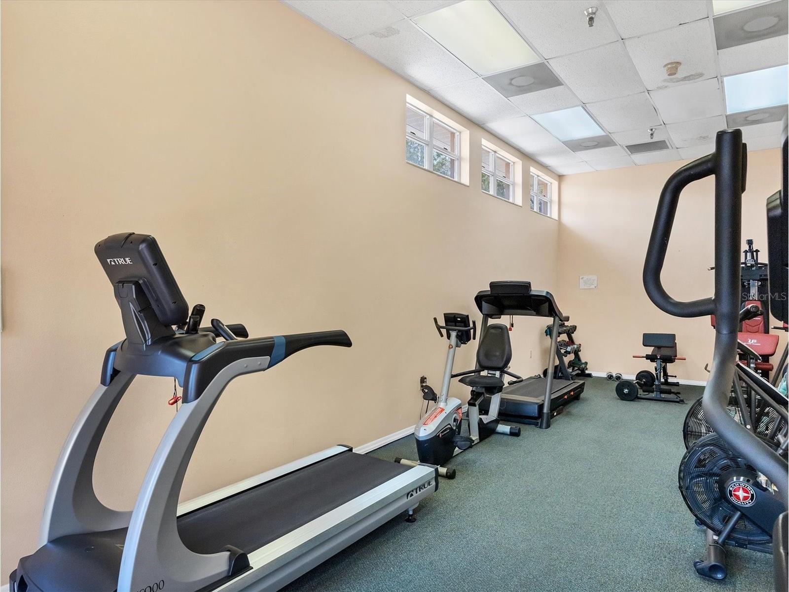 4050 Pinebrook Circle #9 Bradenton FL 34209 A4682230 image64