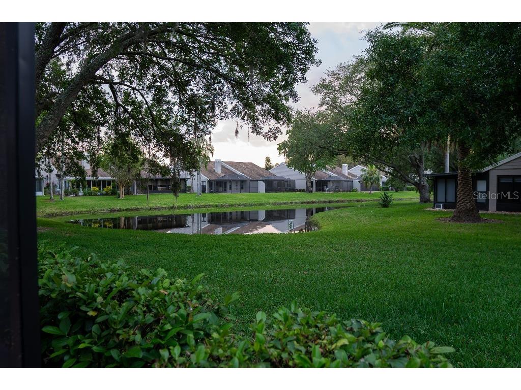 4050 Salem Square Court Palm Harbor FL 34685 TB8497220 image10