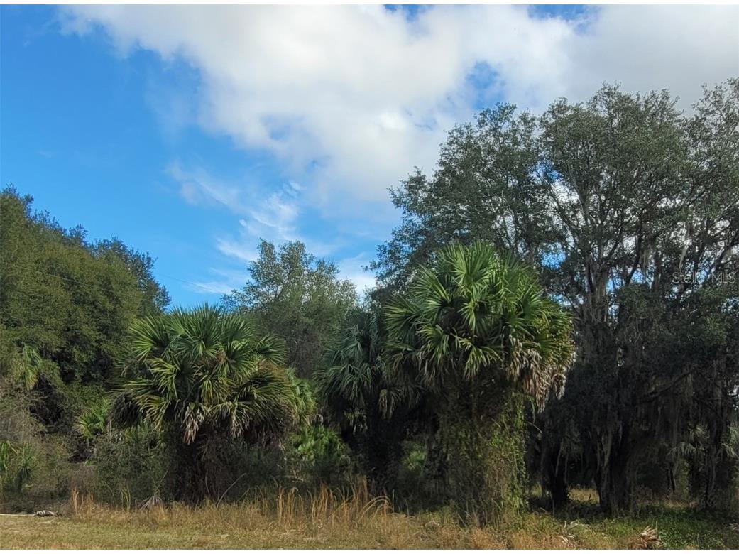40500 Emeralda Island Road Leesburg FL 34788 G5077412 image1