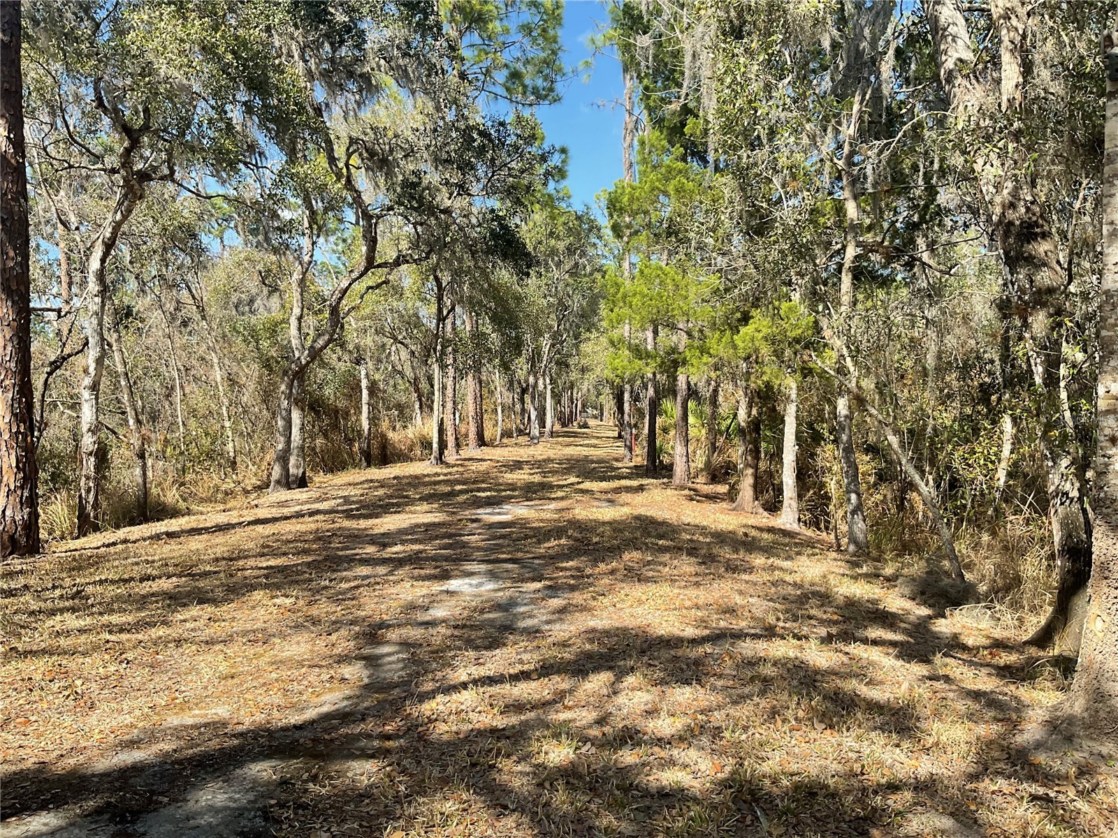 4051-3803 Dixiana Drive Bowling Green FL 33834 - PEACE RIVER P4937849 image1