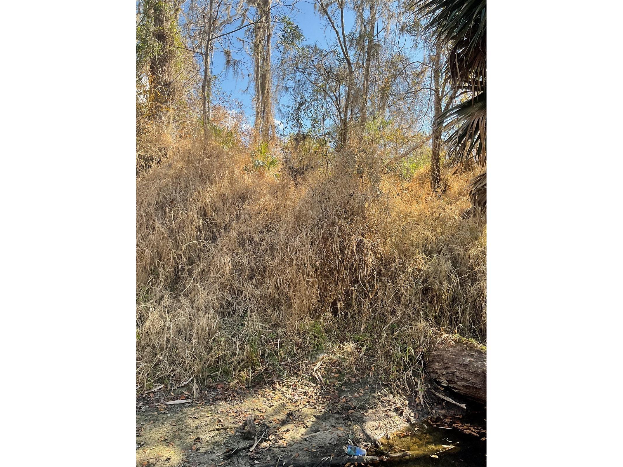 4051-3803 Dixiana Drive Bowling Green FL 33834 - PEACE RIVER P4937849 image40