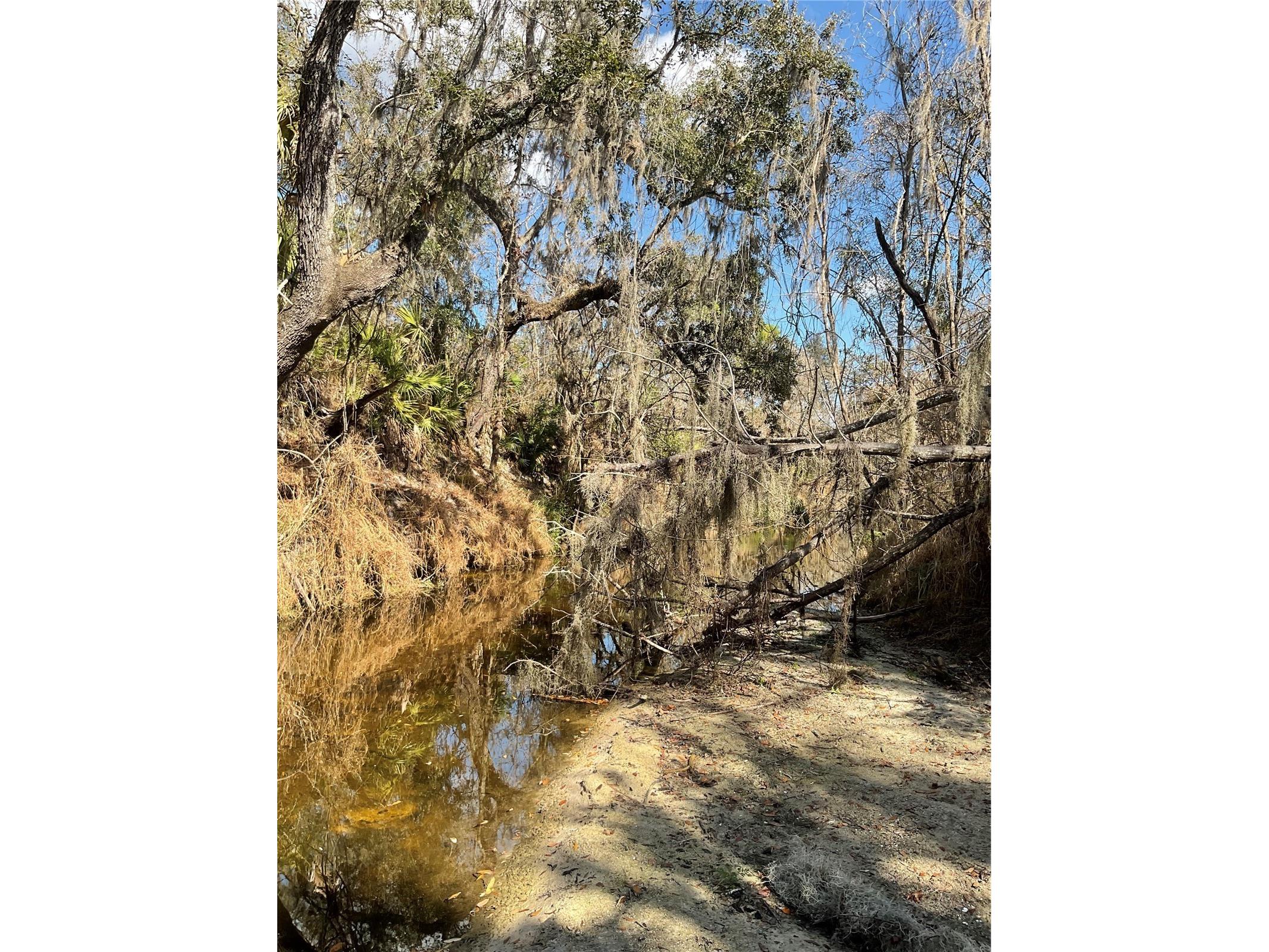 4051-3803 Dixiana Drive Bowling Green FL 33834 - PEACE RIVER P4937849 image42
